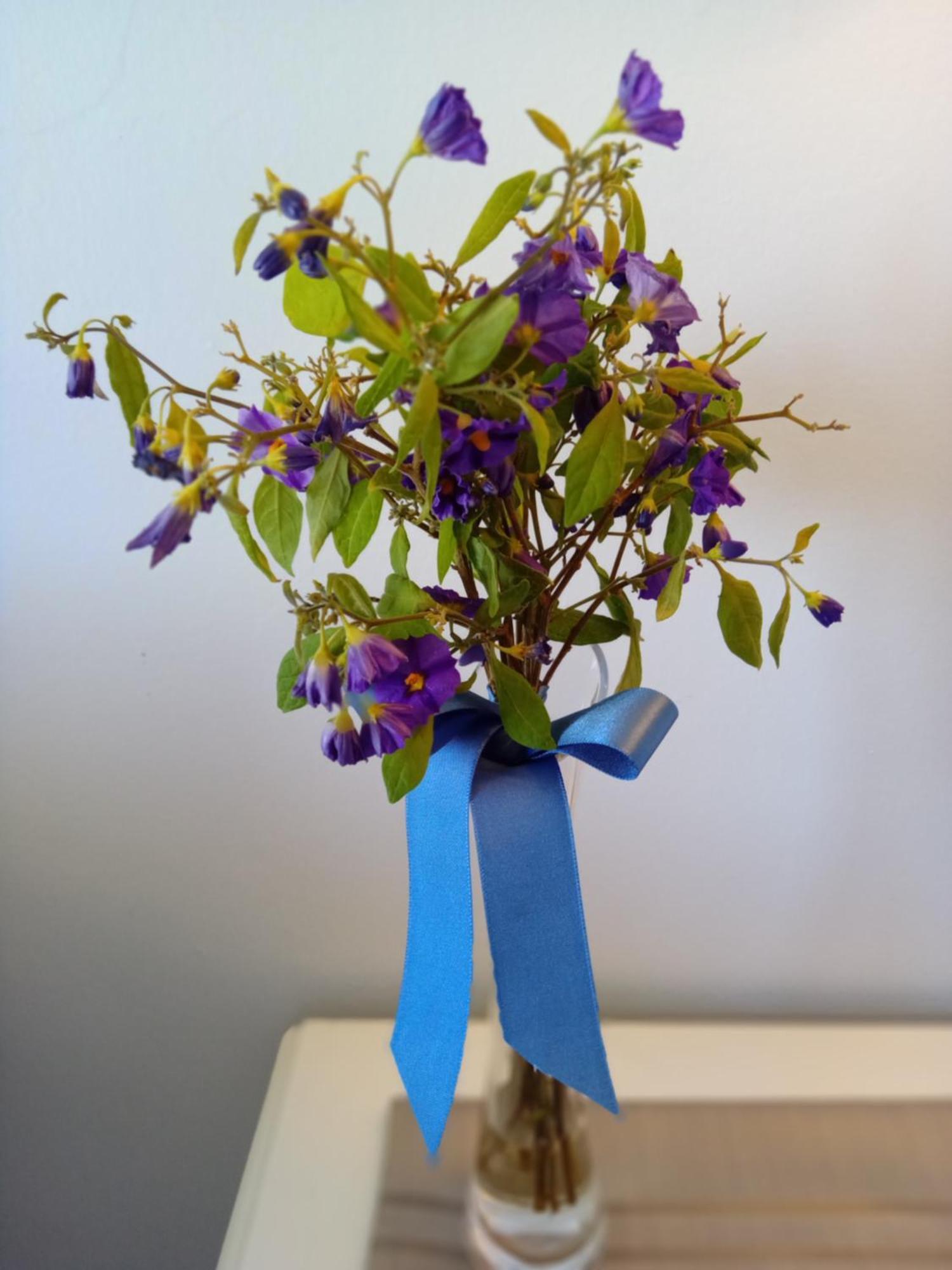 פורט אליזבת' Brookes Hill Suites 238 מראה חיצוני תמונה
